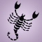 Star sign scorpio