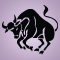 Star sign taurus